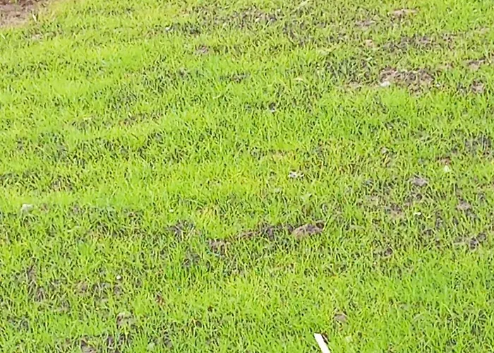 Апартаменти Sozopol Residence Созополь