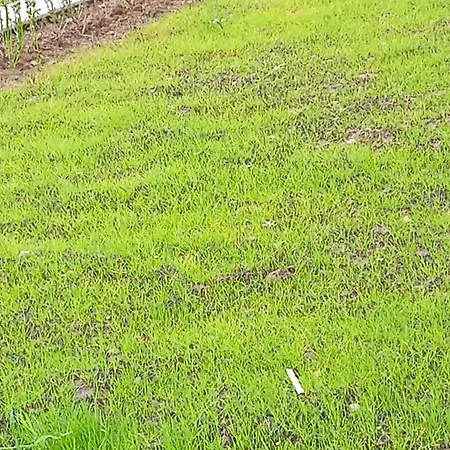 Апартаменти Sozopol Residence Szozopol